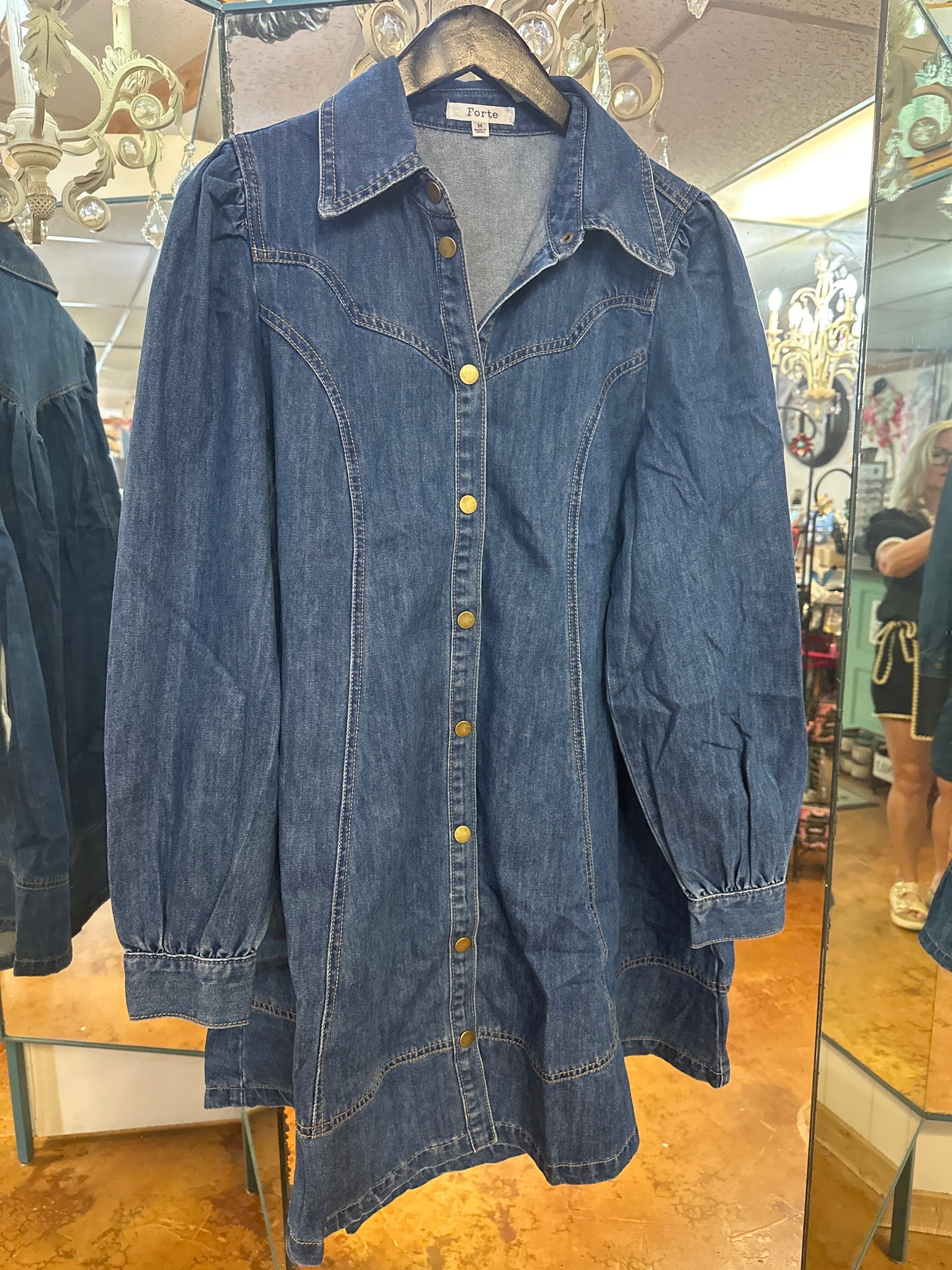 Ingles Denim dress