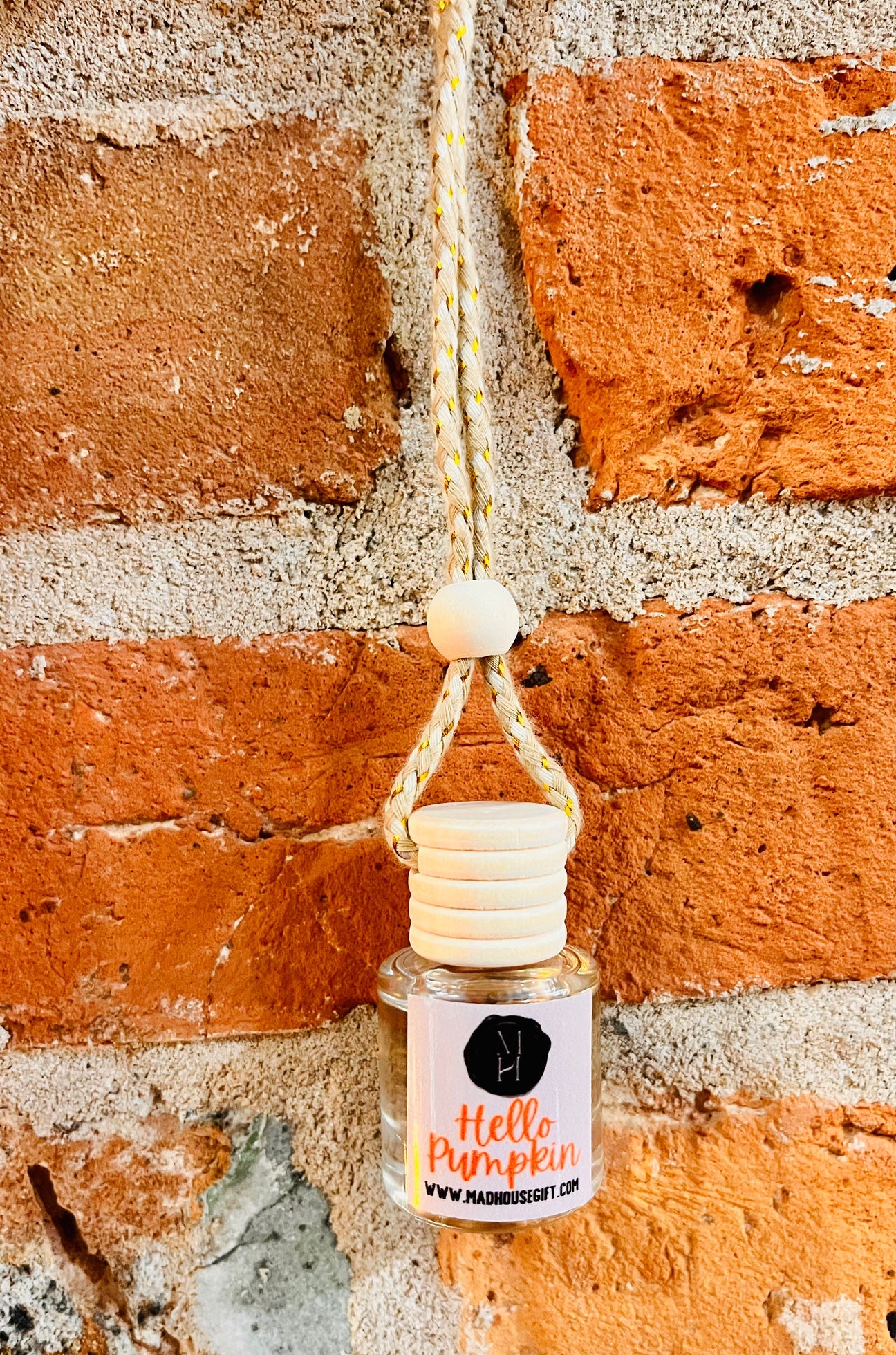 Fall Car Diffuser