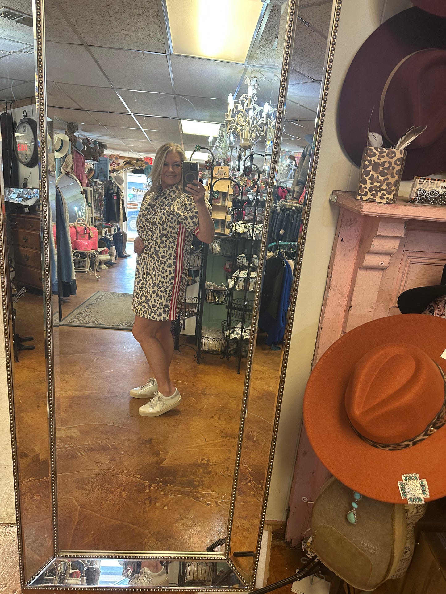 Leopard stripe Dress