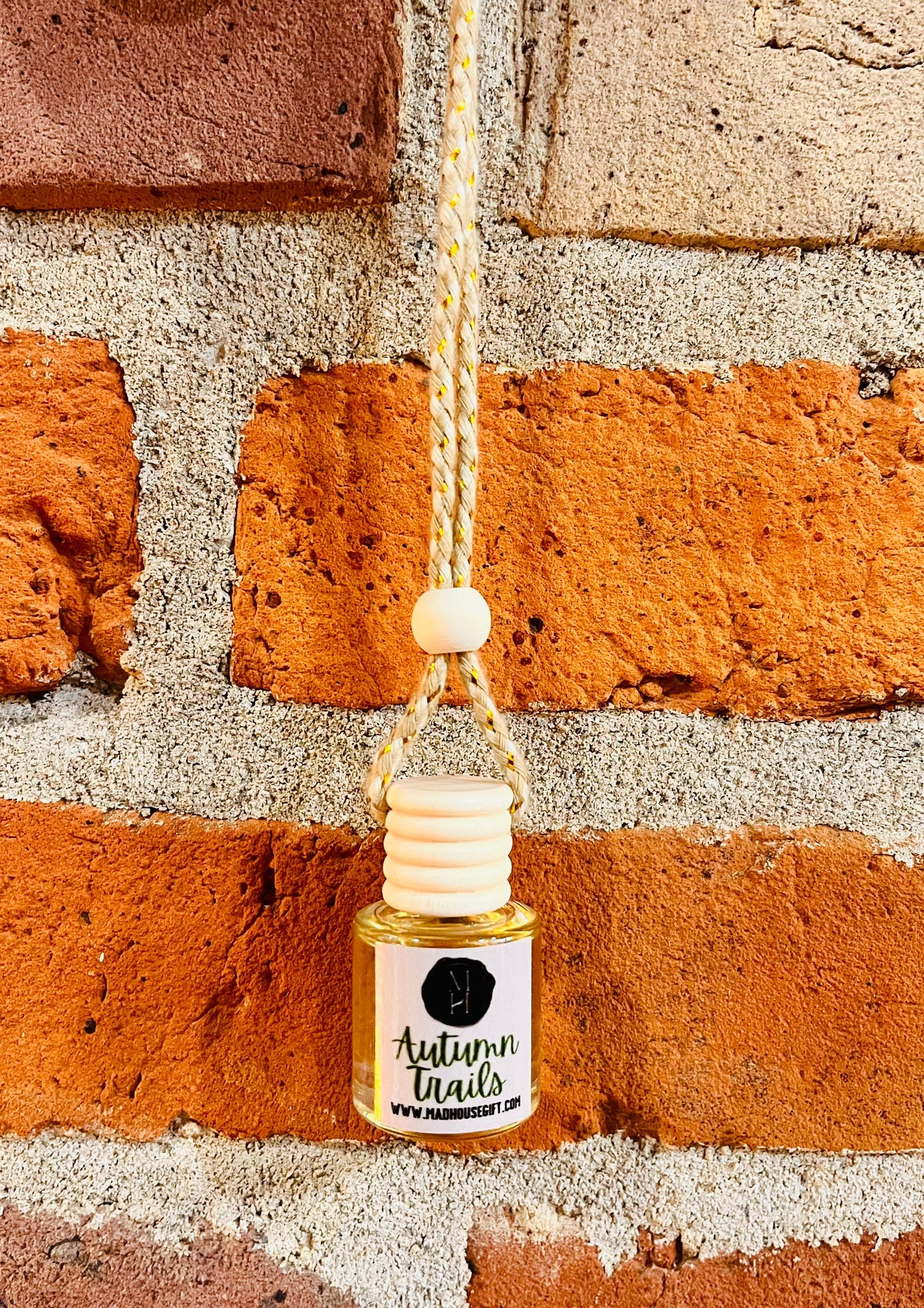 Fall Car Diffuser