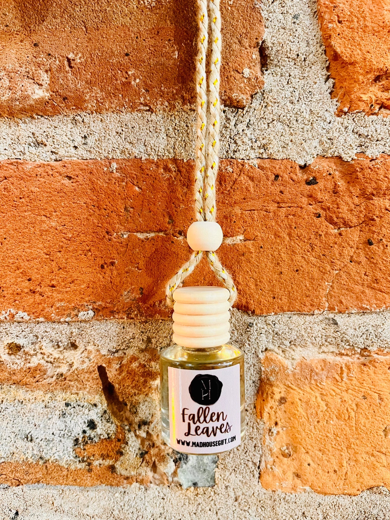 Fall Car Diffuser